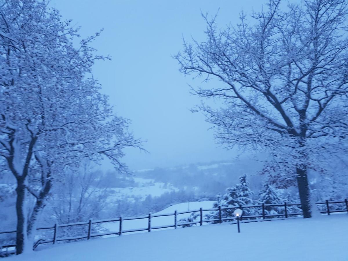 Pianelleto Casa Vacanze Fattoria Il Cerro 빌라 외부 사진