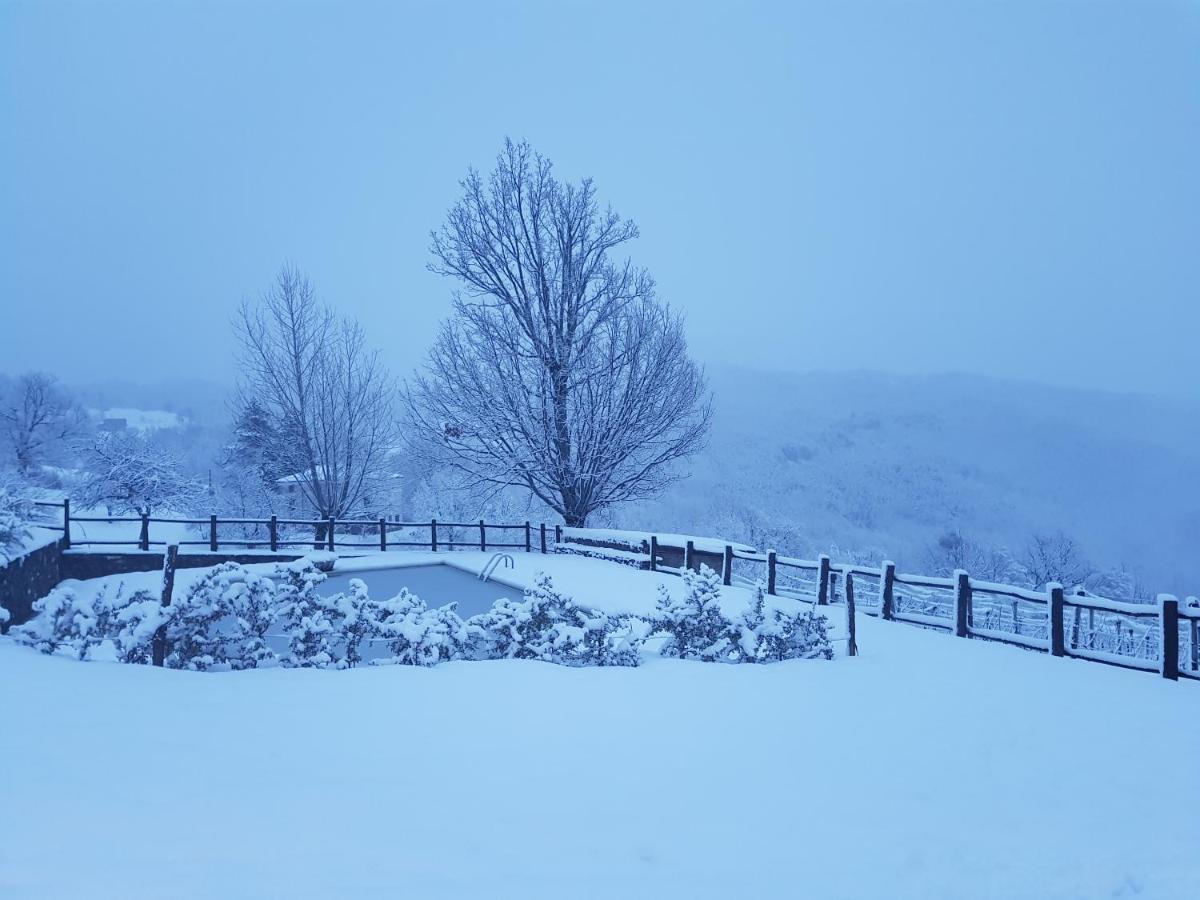 Pianelleto Casa Vacanze Fattoria Il Cerro 빌라 외부 사진