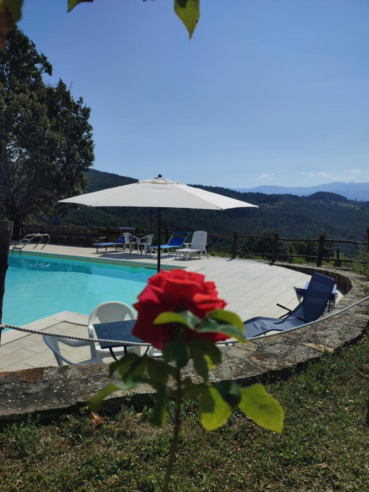 Pianelleto Casa Vacanze Fattoria Il Cerro 빌라 외부 사진