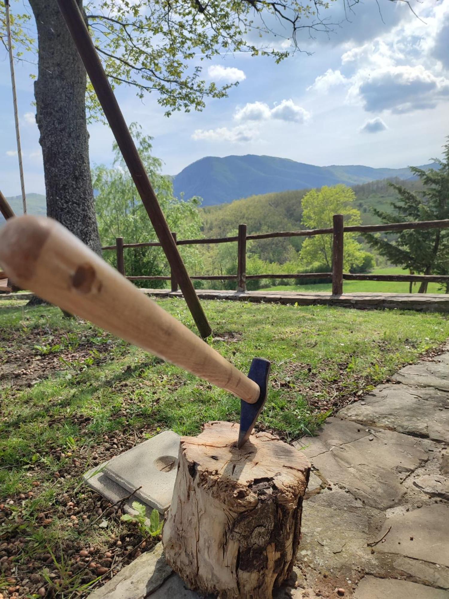 Pianelleto Casa Vacanze Fattoria Il Cerro 빌라 외부 사진